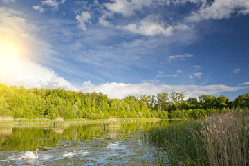 Widok jeziora w słoneczny dzień © Patryk Michalski
