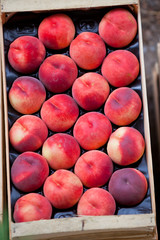 Fresh nectarines selling in a market