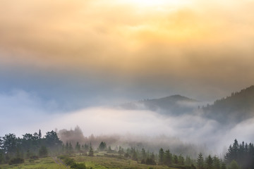 Misty morning in the Carpathians