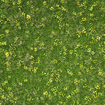 Grass Texture Tile Images – Browse 62,938 Stock Photos, Vectors, and ...