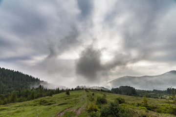 Misty morning in the Carpathians