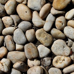 Collection of gray river rocks