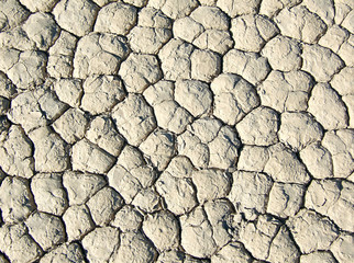 Detail of a dry lake bed