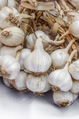 Garlic white background