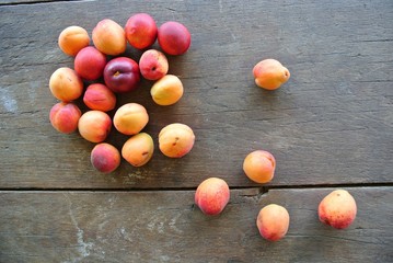 Ripe orange and red apricots scattered on the rustic wooden table; rural vintage concept. Shot from above. Concept of organic farming; fresh, natural, unprocessed fruit.