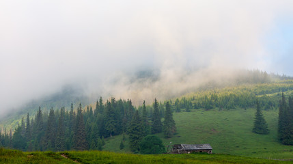 Fototapeta na wymiar Amazing mountain landscape with fog