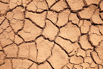 Dry cracked ground