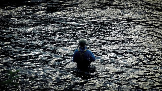 Angler Fishing Waist-Deep In River