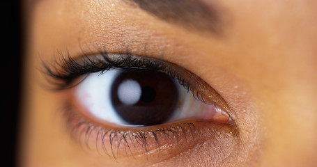Brown Eyes Photos Royalty Free Images Graphics Vectors Videos
