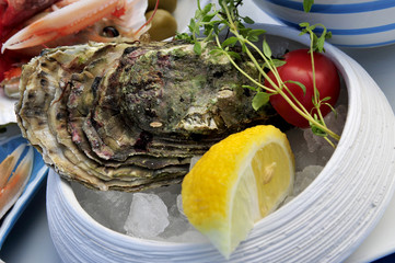 Oysters