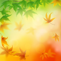 Naklejka na ściany i meble From summer to autumn falling leaves background