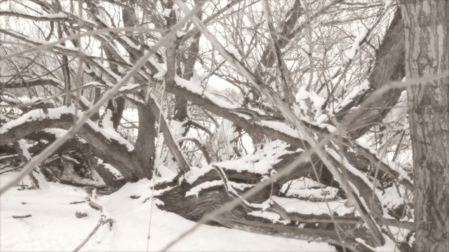 Dreamy Rope Swing In Snow