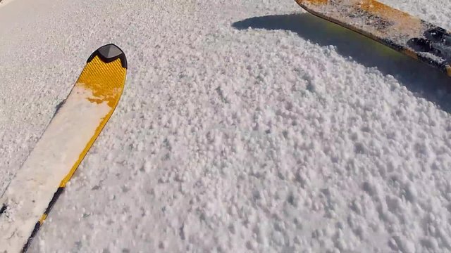 skis snowplowing