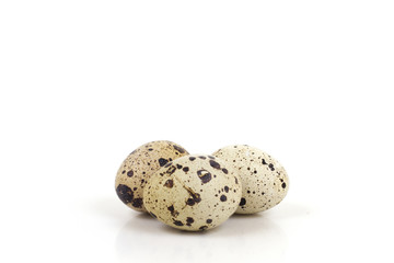 quail eggs on a white background 
