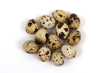 quail eggs on a white background 