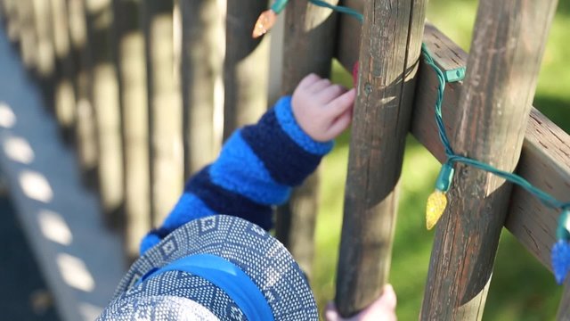 a toddler touching christmas lights at the zoo