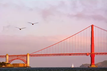 Fotobehang Pelicans fly over the Golden Gate Bridge in San Francisco, CA © Rafael Ben-Ari