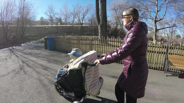a woman pushing stroller through the zoo with toddler