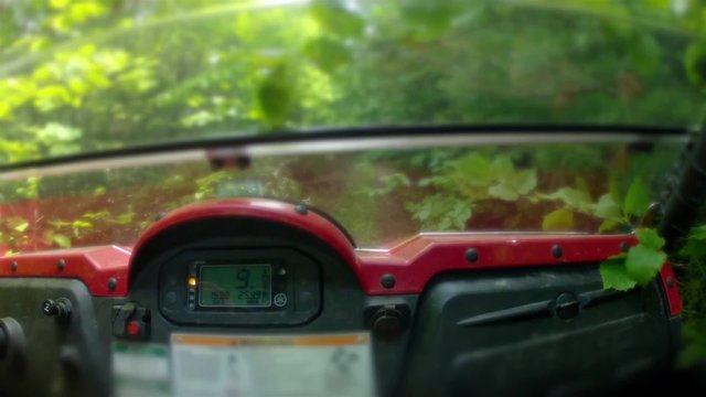 low shot of side by side four wheeler driving through trees