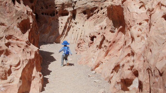 A little boy hiking in a deep desert canyon in Utah