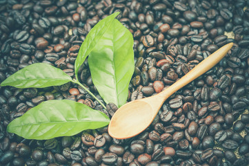 Coffee beans and wooden spoon with filter effect retro vintage s