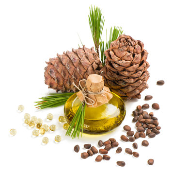 Cedar Pine Nuts And Oil