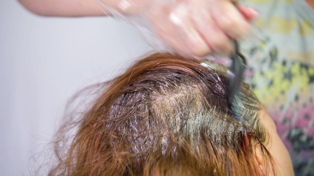 Hair Salon Stylist Coloring Woman Hair
