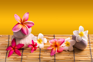 Obraz na płótnie Canvas Frangipani flowers, Spa massage
