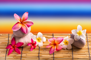 Fototapeta na wymiar Frangipani flowers, Spa massage