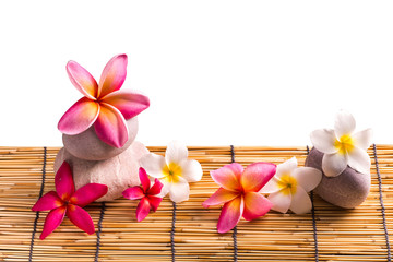 Fototapeta na wymiar Frangipani flowers, Spa massage