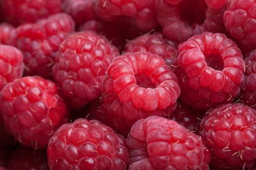 Raspberry, Fruit, Red.
