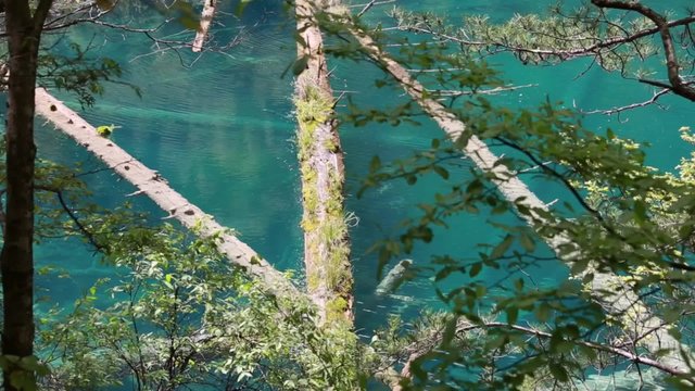 Blue Water In Jiuzhaigou Valley National Park In China Dolly