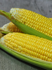 Fresh sweet corn cob. Selective focus.