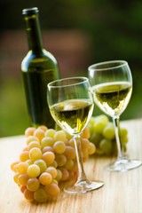 Wine, Grape, Wineglass.