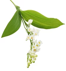 Peel and stick wall murals Lily of the valley Lily of the Valley