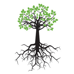 Tree with Roots and Leafs. Vector image.