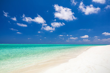 Beautiful ocean beach