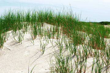 White sand dunes with green grass.