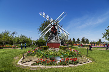Windmill in Holland, Michigan. Beautiful blue skies in the background.