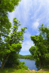 Sunset on the forest lake.
