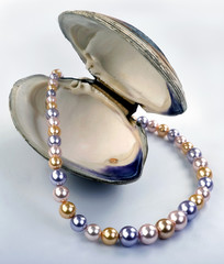 Multi Colored Pearls.