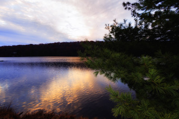 Sunset on the forest lake.