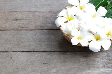 white plumaria flower in basket on wooden