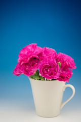 カーネーション