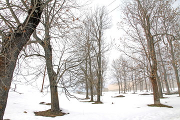  Mony-Louis,Languedoc Roussillon, Pyrenees, France