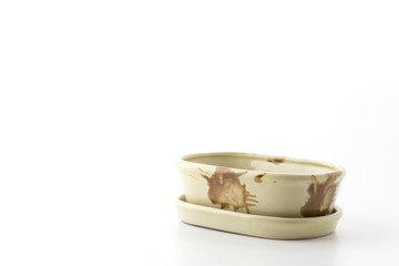 small potted isolated on white background