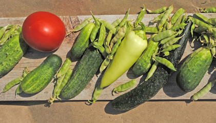 cucumbers, peppers, tomatoes