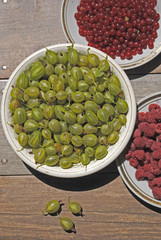 Summer berries in plates