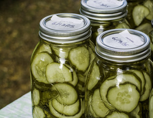 Canned Dill Pickles 