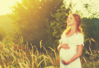 beautiful pregnant woman in summer nature meadow in sunset